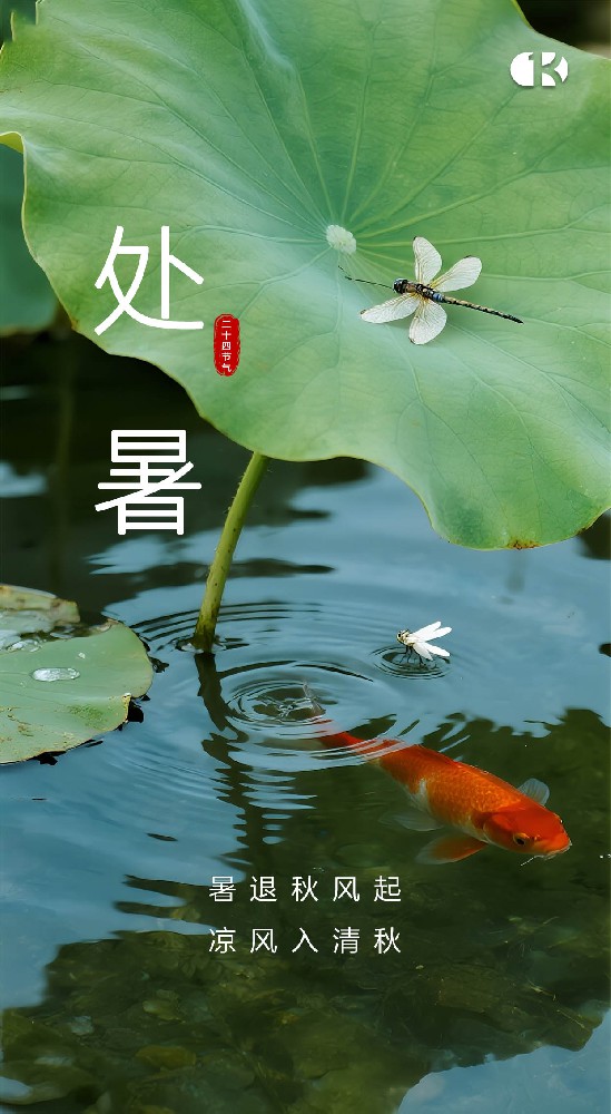 处暑至，习俗趣：暑去凉来话传统